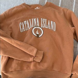 Hollister Warm Brown Fleece Sweatshirt